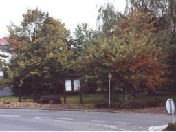 Lischeid im goldenen Oktober