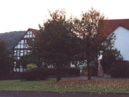 Lischeid im goldenen Oktober
