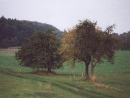 Lischeid im goldenen Oktober