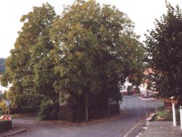 Lischeid im goldenen Oktober