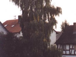 Lischeid im goldenen Oktober