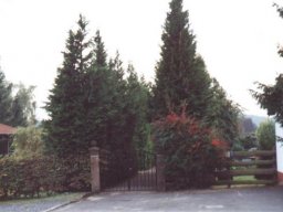 Lischeid im goldenen Oktober